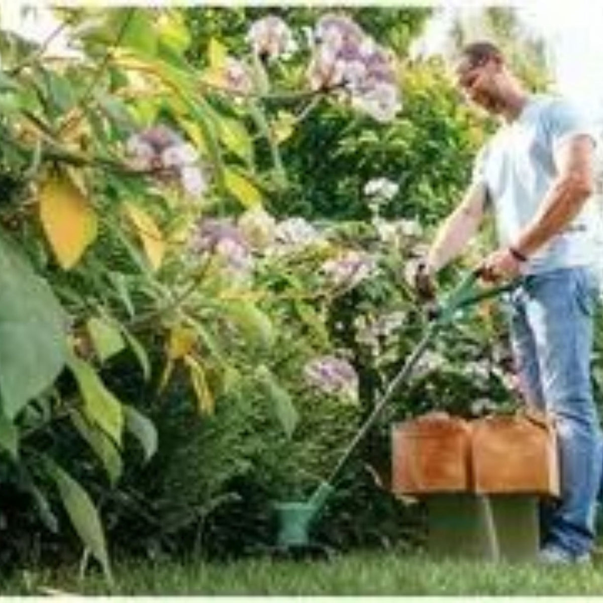 Bosch EasyGrassCut 26 Corded Grass Trimmer / Strimmer – 280W, 26cm Cutting Width