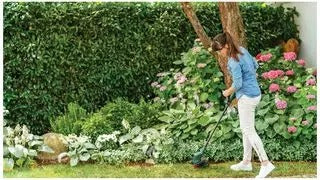 Bosch EasyGrassCut 26 Corded Grass Trimmer / Strimmer – 280W, 26cm Cutting Width
