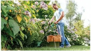Bosch EasyGrassCut 26 Corded Grass Trimmer / Strimmer – 280W, 26cm Cutting Width